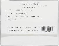 Gibberella zeae image