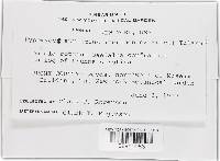 Hypomyces aurantius image