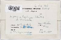 Hypomyces hyalinus image