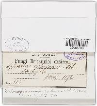 Image Associated With the Occurrence