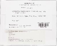 Gymnascella hyalinospora image