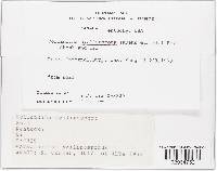 Gymnascella hyalinospora image