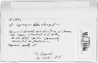 Image Associated With the Occurrence