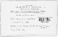 Image Associated With the Occurrence