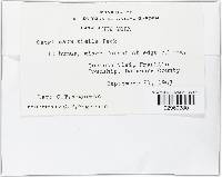 Image Associated With the Occurrence