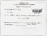 Image Associated With the Occurrence