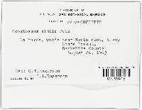 Image Associated With the Occurrence