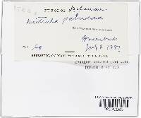 Image Associated With the Occurrence