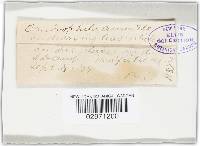 Image Associated With the Occurrence