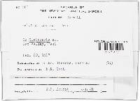 Image Associated With the Occurrence