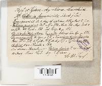 Image Associated With the Occurrence