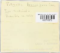 Image Associated With the Occurrence