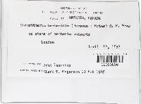 Image Associated With the Occurrence
