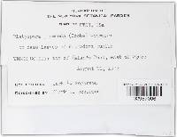 Image Associated With the Occurrence