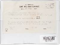 Image Associated With the Occurrence