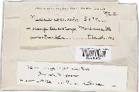 Thumbnail image of current specimen