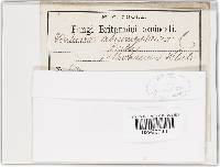 Image Associated With the Occurrence