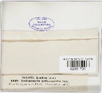 Image Associated With the Occurrence