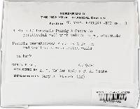 Lanatonectria flavolanata image