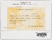 Image Associated With the Occurrence