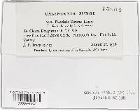 Image Associated With the Occurrence