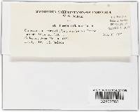 Image Associated With the Occurrence