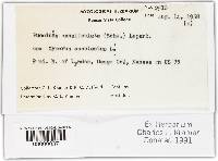 Image Associated With the Occurrence