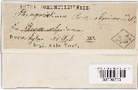 Image Associated With the Occurrence