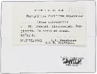 Image Associated With the Occurrence