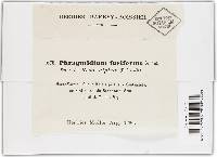 Image Associated With the Occurrence