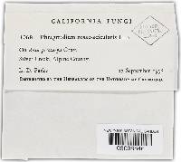 Image Associated With the Occurrence