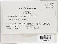 Image Associated With the Occurrence