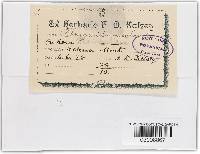 Image Associated With the Occurrence