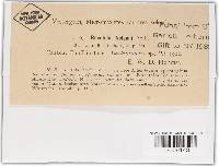 Image Associated With the Occurrence