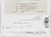 Image Associated With the Occurrence