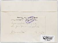 Image Associated With the Occurrence