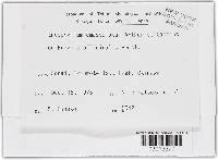 Image Associated With the Occurrence