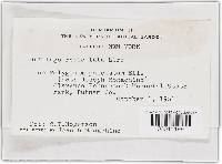 Image Associated With the Occurrence