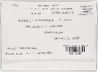 Image Associated With the Occurrence