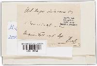 Image Associated With the Occurrence