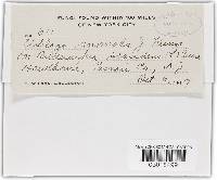 Image Associated With the Occurrence