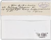 Image Associated With the Occurrence