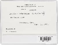 Image Associated With the Occurrence