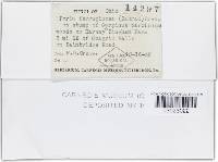 Image Associated With the Occurrence