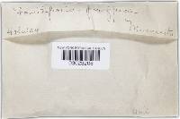 Image Associated With the Occurrence