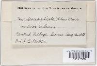 Image Associated With the Occurrence