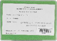 Image Associated With the Occurrence