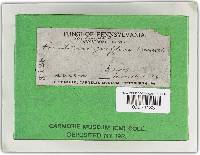 Image Associated With the Occurrence