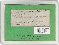 Image Associated With the Occurrence