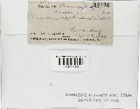 Image Associated With the Occurrence